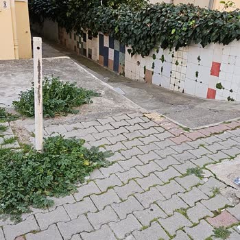 Superonline Kapımın Önünde Fiber Alt Yapi Var Ama Binama Ankastre Takılmıyor