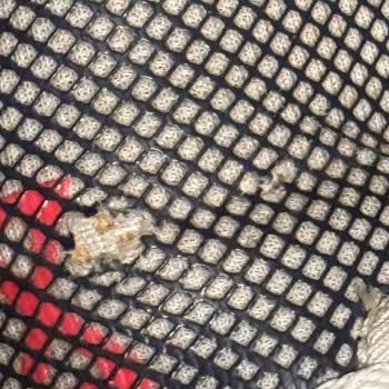 Yalı Spor Ürünlerinin Arkasında Değil!