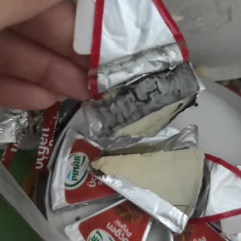 Pınar Et ve Süt Üçgen Peynirde Kalite Sorunu