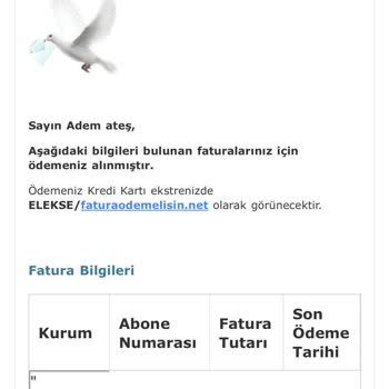 Fatura Ödemelisin Sorunu