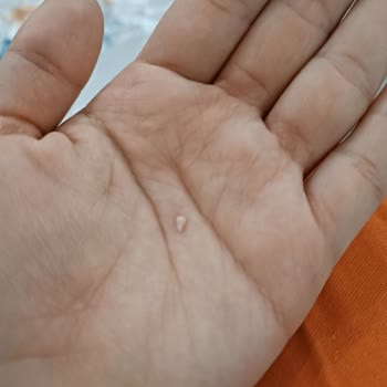 Namet Hindi Salamın İçinde Kemik