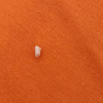 Namet Hindi Salamın İçinde Kemik