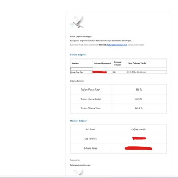 FaturaOdemelisin.net Kredi Kartı Ödemesi Sorunu Ve Acil Çözüm Beklentisi