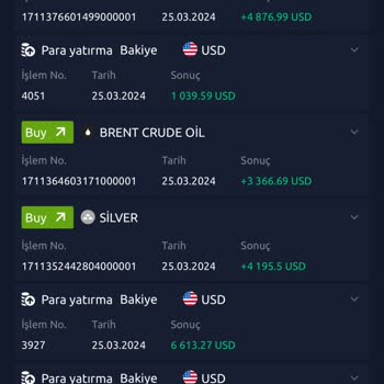 Do-rotium.com Yatırım Vaadiyle Karşılaştığım Sorunlar