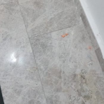 Norma Yönetimin Sadece Para Almaya Yönelik Yönetimi