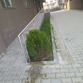 Norma Yönetimin Sadece Para Almaya Yönelik Yönetimi