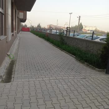 Norma Yönetimin Sadece Para Almaya Yönelik Yönetimi