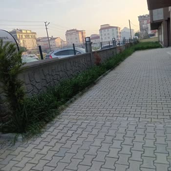 Norma Yönetimin Sadece Para Almaya Yönelik Yönetimi