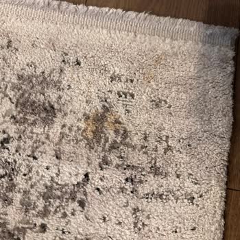 Doğal Halı Yıkama Basit Çay Lekesini Bile Çıkaramadı.