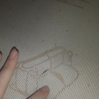 Teşhir Gelecekse Teşhir Fiyatı Öderdim Bellona