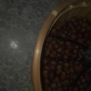 Teşhir Gelecekse Teşhir Fiyatı Öderdim Bellona