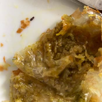 A101 Sam Katmer Böcek