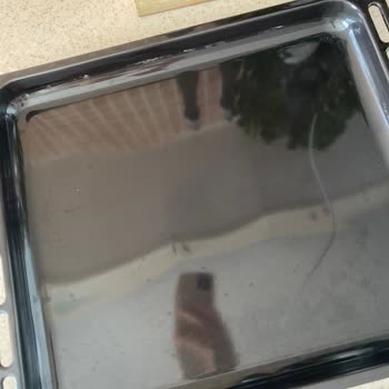 Vestel Fırınının Tepsi Şikayeti