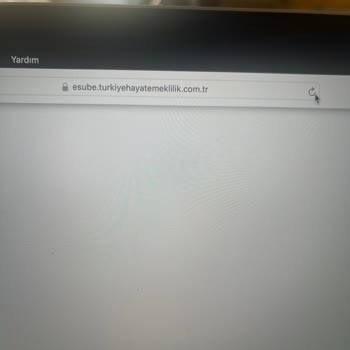 Türkiye Hayat Emeklilik Befas Fon Değişikliği