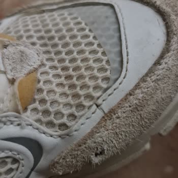 Yırtılan Lacoste Ayakkabı Ve İade Sorunu