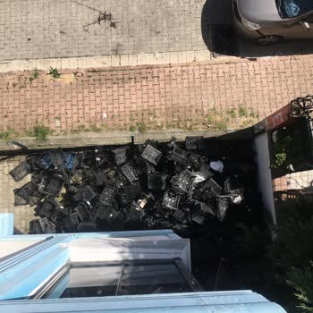 Darıca Belediyesi Çevre Ve Bina Kirliliği