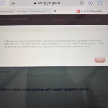 Gelir İdaresi Başkanlığı Beyanname Onaylama Hatası