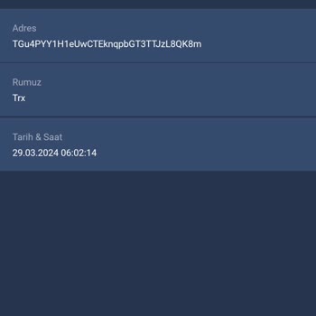 Bitexen Trx Para Çekme Hatası