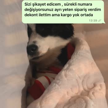 Strawbery Wear Butik Sorunları: İletişim Ve Güvenlik Endişeleri