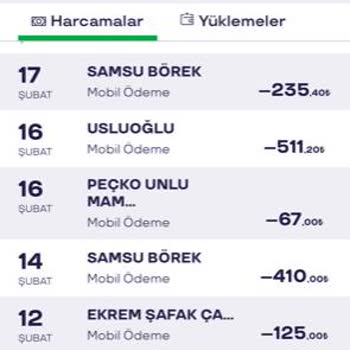 Pluxee Türkiye Şubat Ayında Yüklenmeyen Plus Puanlar İçin Şikayet
