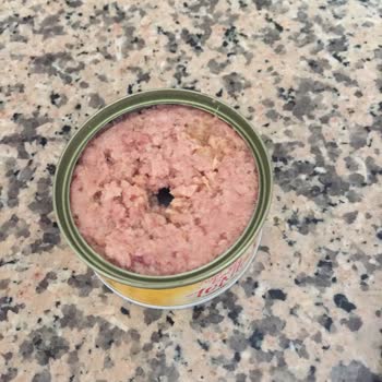 Dardanel Tonla Tonbalığı Bozuk Ürün