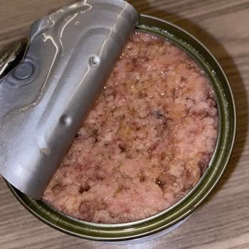 Dardanel Tonla Tonbalığı Bozuk Ürün