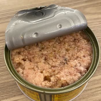 Dardanel Tonla Tonbalığı Bozuk Ürün