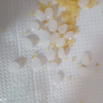 Piyale İrmik Paketimde Beklenmedik Misafirler