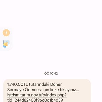 AJet (Anadolu Jet) Köpek Yurt Dışı Seyahat