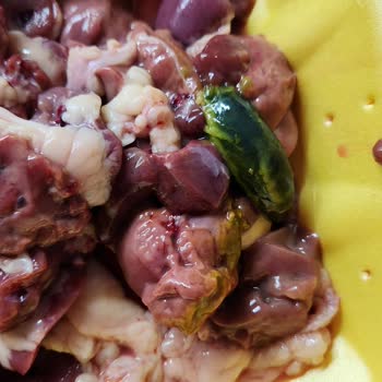 Lezita Tavuk Ciğeri İçinden Öd Çıktı