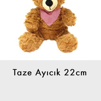 Taze Çiçek (tazecicek.com) Hayal Kırıklığı: Yanlış Ürün Ve Kötü Müşteri Hizmetleri