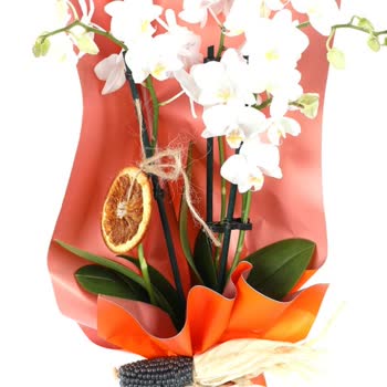 Taze Çiçek (tazecicek.com) Hayal Kırıklığı: Yanlış Ürün Ve Kötü Müşteri Hizmetleri