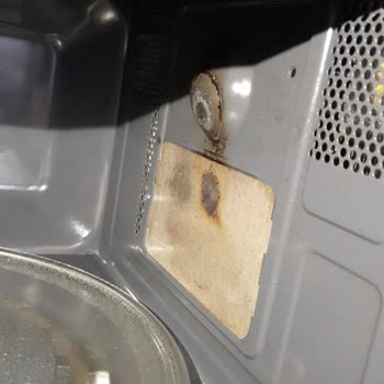 Samsung Mikrodalga Garanti Sorunu