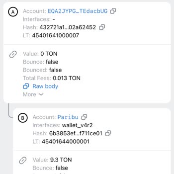 Paribu Hesabına Geçip Görünmeyen Ton Varlığı