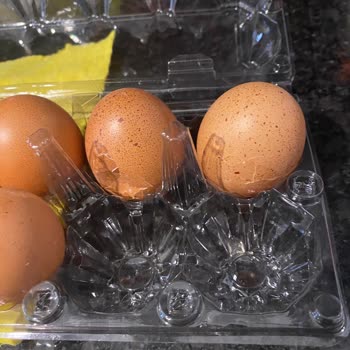 Cepte Şok Müşteri Memnuniyetsizliği