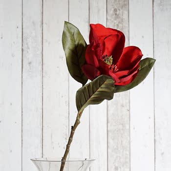 Millenicom 'da Yapılamayan Abonelik İptalim