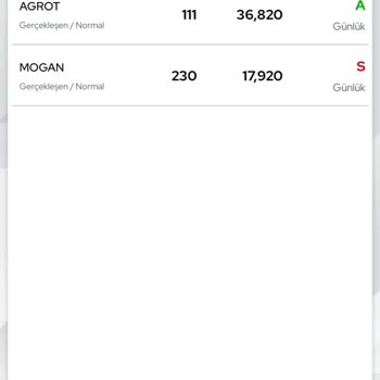 Ziraat Yatırım Ziraat Borsada Hisse Maliyetinin Artması