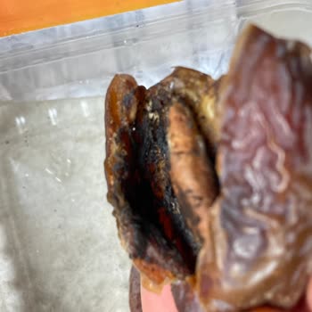 Akbaş Organik Küflü Kudüs Hurma