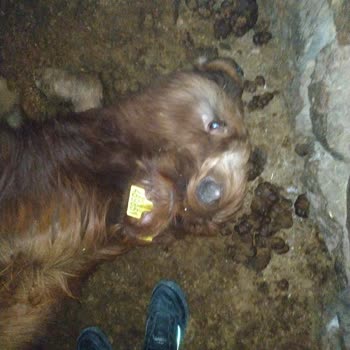 TARSİM Çözüm İstiyorum Çözüm