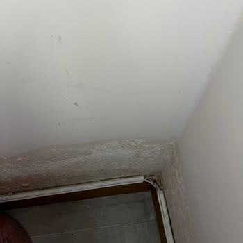 Ahes İnşaat Evim Dış Cephesinden Su Alıyor