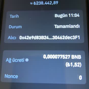 Trust Wallet Üzerinden Bütün Bakiyemi Transfer Ettim Hala Geçmedi