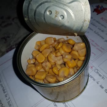 Tukaş Konserve Mısır Pişmanlığı