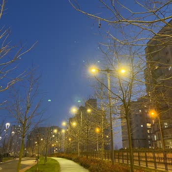 iPhone Cihazımda Fotoğraf Çekerken Yeşil Noktalar Var!