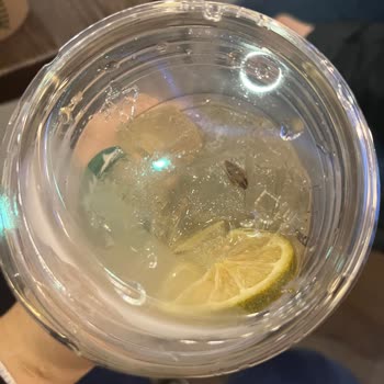 Starbucks Flyinn Hamam Böceği