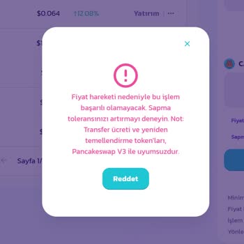 Pancakeswap'te Satış Yapamama Ve Mağduriyet Sorunu