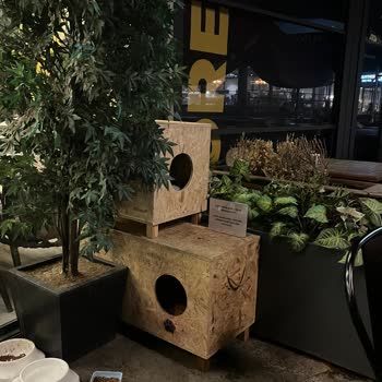 Kentpark AVM Kediler İçin Hazırlanmış Evleri Kaldırdı