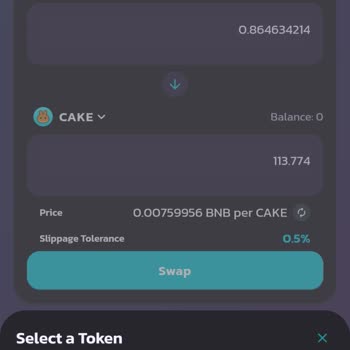 PancakeSwap Cake Coin Kılıf Bulması