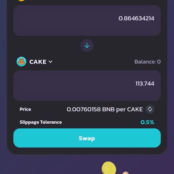 PancakeSwap Cake Coin Kılıf Bulması