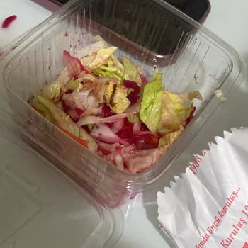 Ankara Mamak Köroğlu İşkembecisi Kurt Çıktı