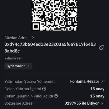 Bybit Müşteri Tecrübesi: Kayıp Varlıklar Ve İade Sorunları